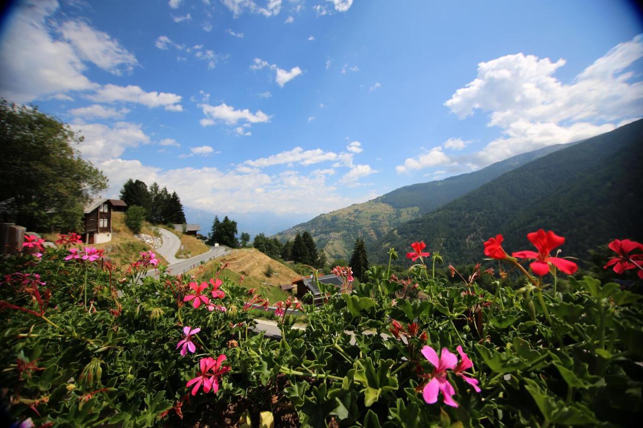Bleusydyllique Bed & Breakfast Nendaz Exterior photo